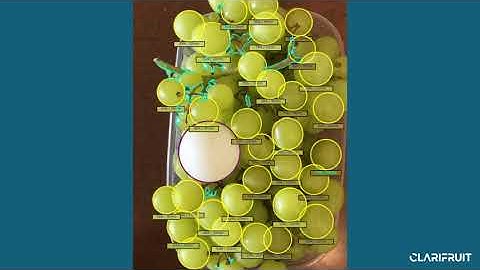 Inspecting Grapes using ClariFruit App