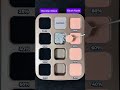 Obsidian Black + Blush Nude #colormixing #satisfying #mixcolor