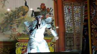 春美 107 3 6橋頭天后宮晚場：野狼20180306 200822
