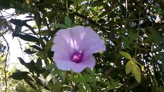 WP 20160414 020