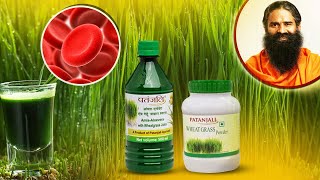 Ayurvedic Juice to increase your Platelet Count | Patanjali Wheat Grass Powder screenshot 4