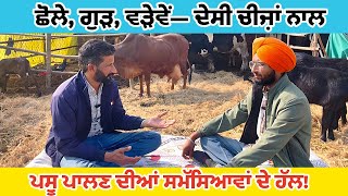 ਦੁੱਧ ਅਤੇ ਫੈਂਟ ਵਧਾਉਣ ਦਾ ਫ਼ਾਰਮੂਲਾ||ਨਸਲ ਸੁਧਾਰ ਲਈ ਝੋਟੇ ਦੀ ਚੋਣ||ਮਿਨਰਲ ਮਿਕਸਚਰ ਦੀ ਮਹੱਤਤਾ||