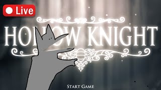 I have never played Hollow Knight before
