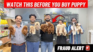 AFFORDABLE PET STORE IN TELUGU | WATCH BEFORE YOU BUY A PUPPY 😱