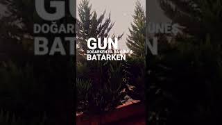 Yüksek Sadakat - Belki Üstümüzden Bir Kuş Geçer (Kısa Story)
