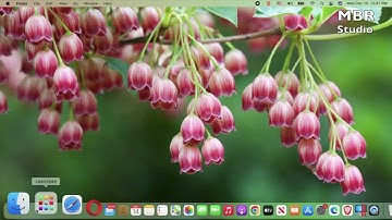 Download install Skype on mac OS