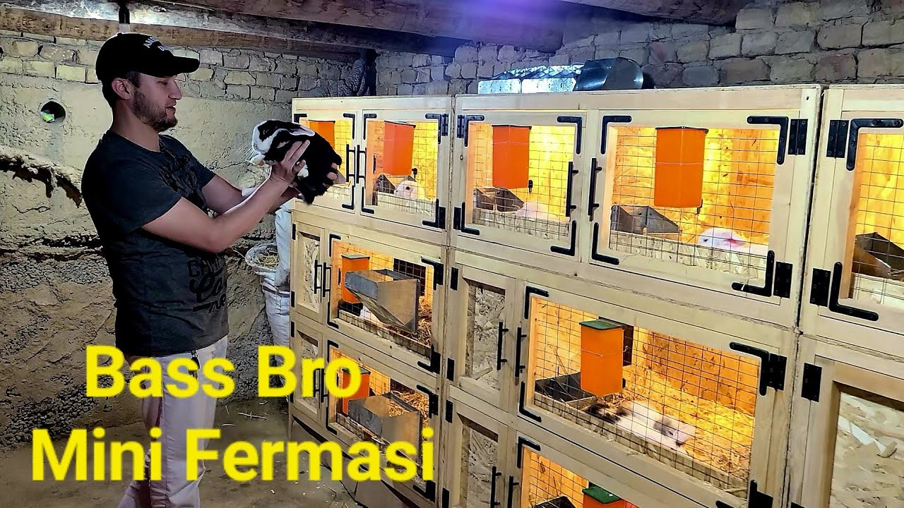 Yangi mini fermaga qancha pul sarflandi ko'ramiz #кролик #quyon #декоративныекролики