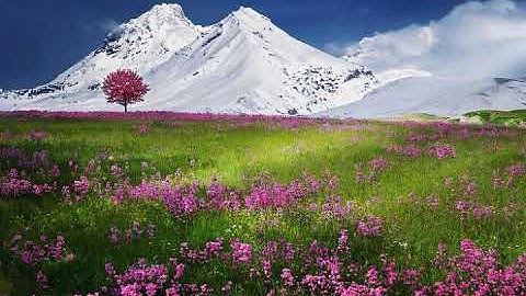 سورة الفرقان للشيخ عبد الودود حنيف Surat Al-Furqan by Sheikh Abdul Wadud Hanif