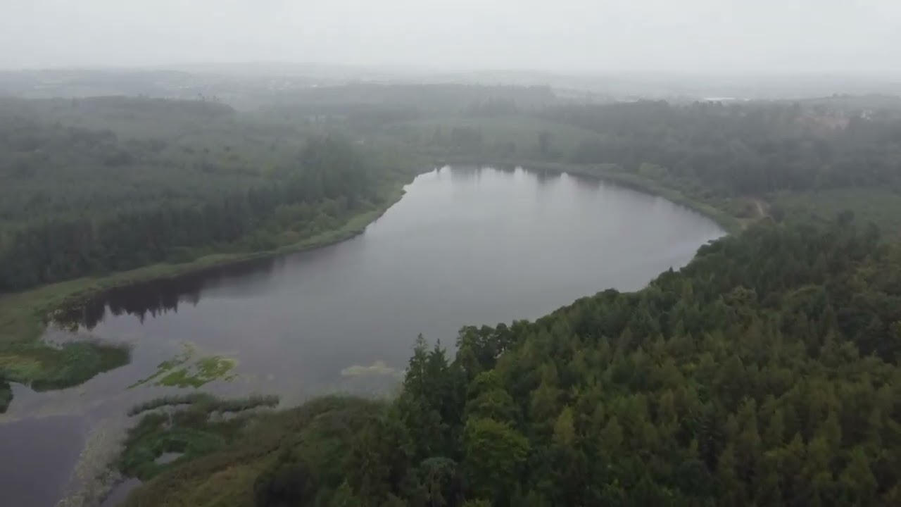 Beautiful IRELAND 2024 / Castle Lake Walks, Co. Cavan