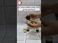 Video Image