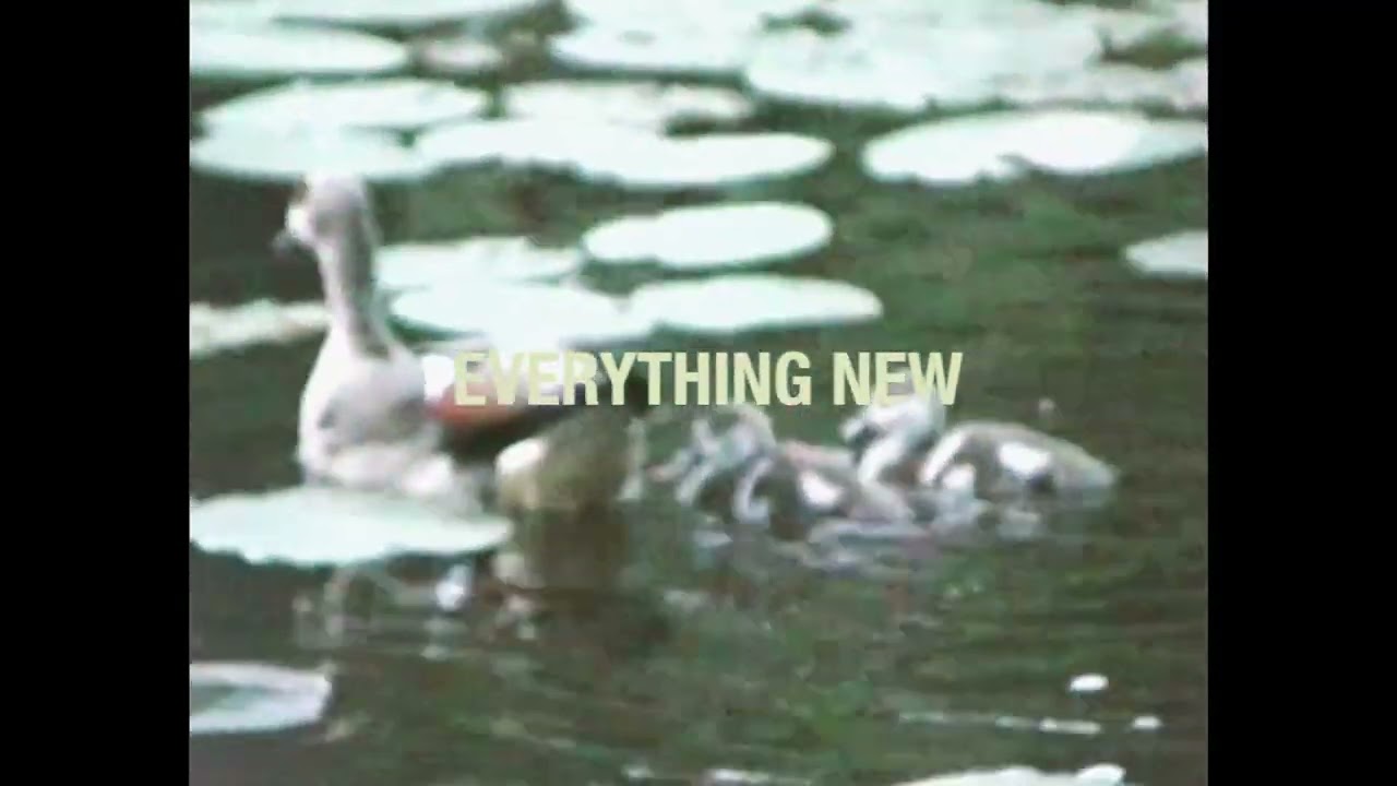 Levi Boon - Everything New (Official Video)