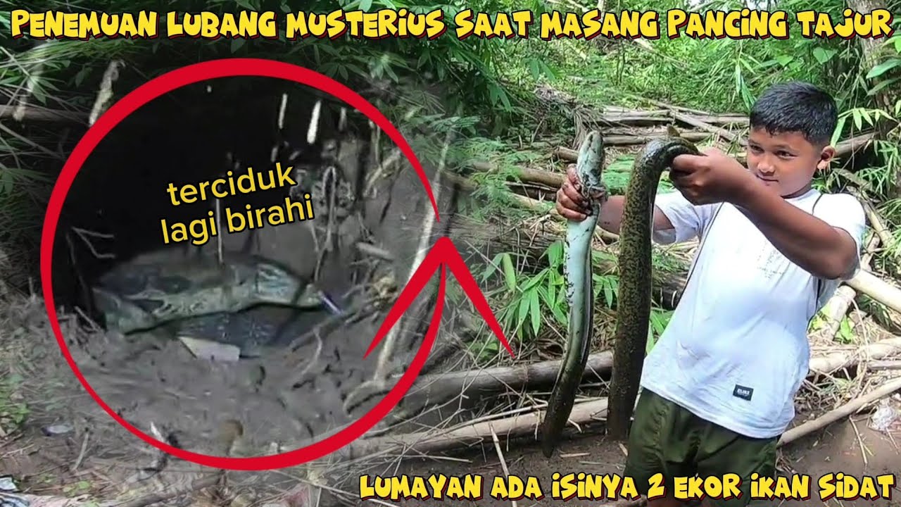 #anakalam Menemukan lubang misterius saat masang pancing tajur‼️Pagi hari cek 20 pancing tajur