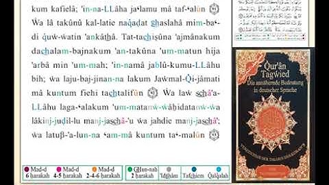 ختمة من مصحف التجويد باللغة الألمانية الصفحة رقم 277
