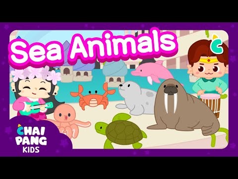 [Sea Animal Song🐳|English for Children] Sea animals🦈|shark, dolphin, walrus| Chaipang Kids by Wecref