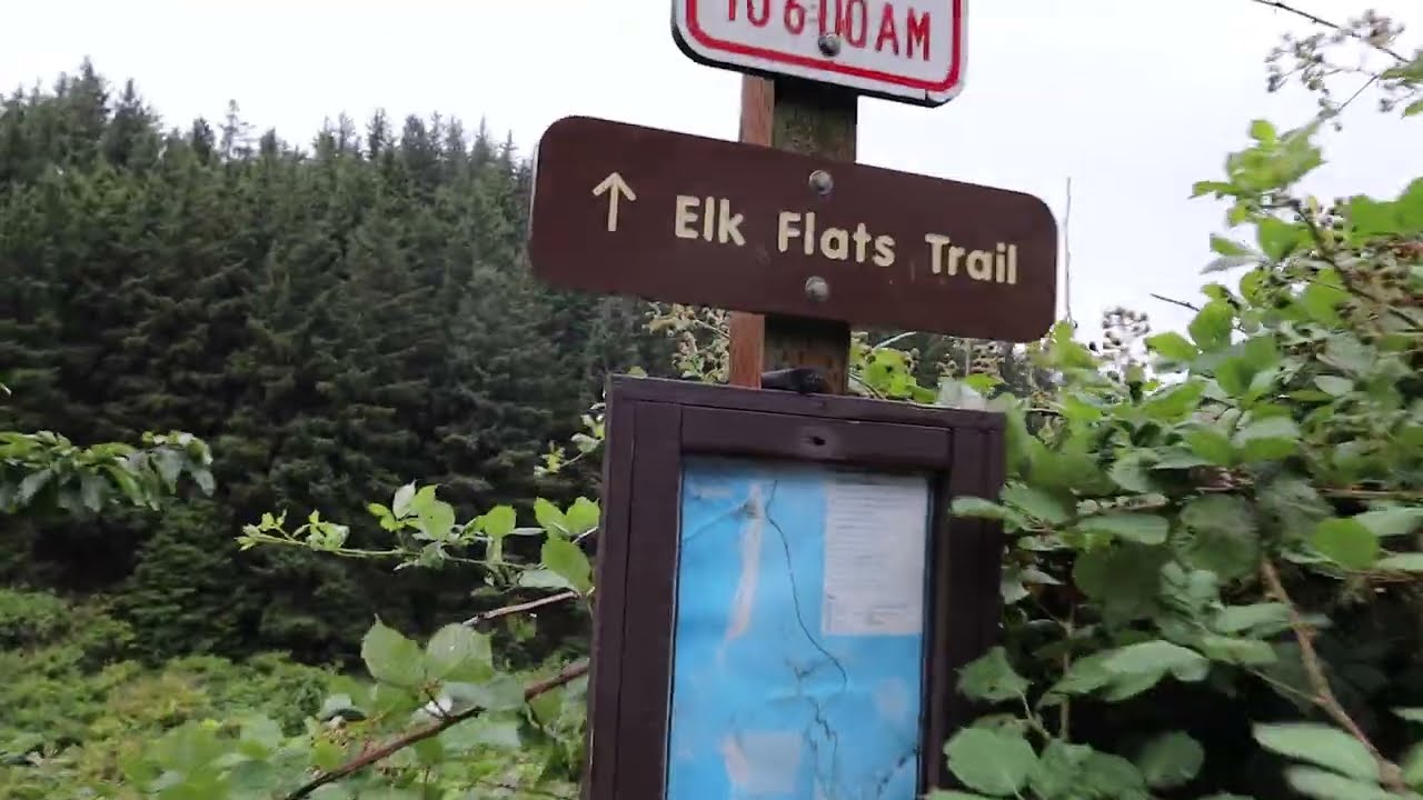 Holden's Hikes - Exploring Cape Falcon on the Oregon Coast