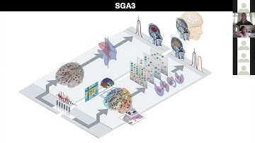 TVB on EBRAINS: Mechanistic Brain Modeling for Personalised Prediction - Petra Ritter