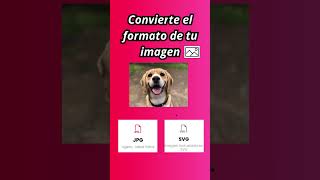 Papeamigos convertiror formato imagen png