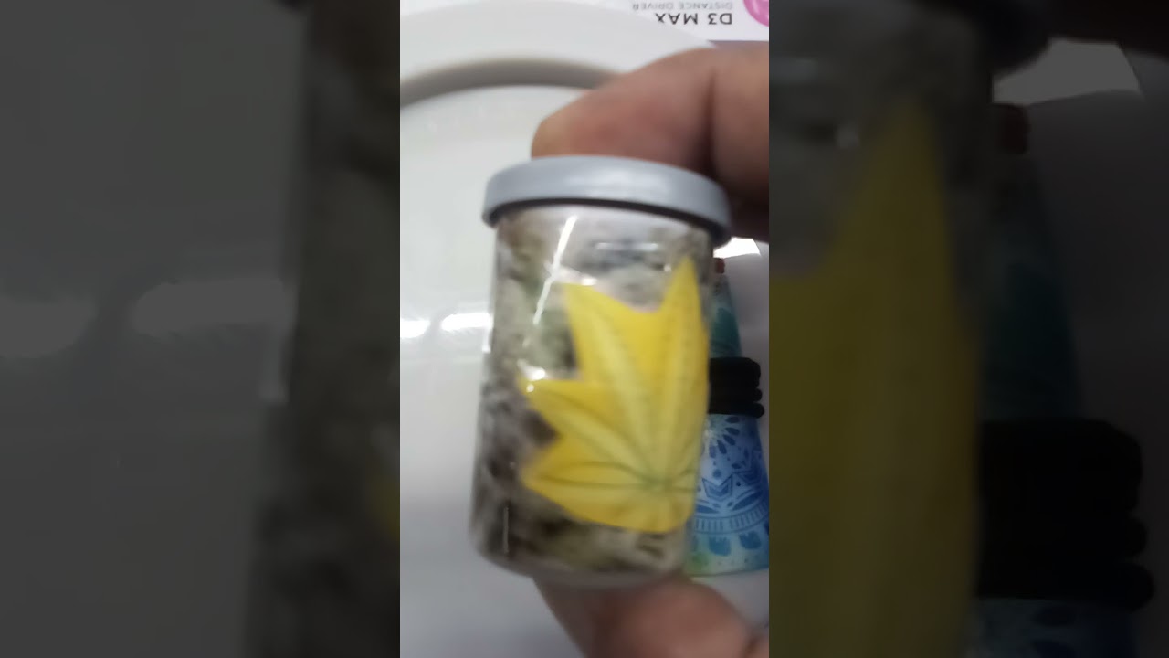 Cannabis container 708