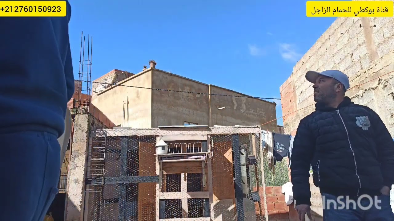 جمع الحمام للمطلق 3 من مرحلة السرعة الكارة ( 208 كلم) + لحظة دخول الحمام والنتيجة المحصل عليها