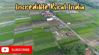 Unseen Beauty of Rural India 🇮🇳 .#ruralindia #incredibleindia