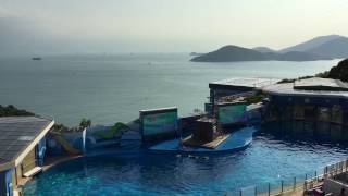 Resident Evil: The Final Chapter Sound Track (sc)