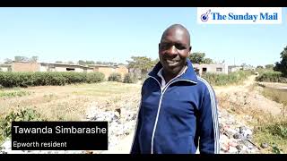 Epworth residents raise concern over the illegal dumping of garbage around the suburb