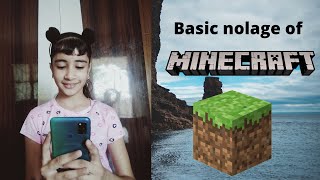 Minecraft Basics Knowledge