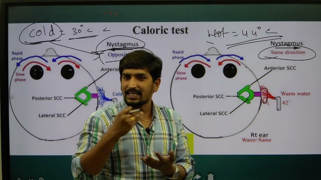 "Nervous System Disorders Explained | Causes, Symptoms & Treatment for Nursing & Medical Exams"