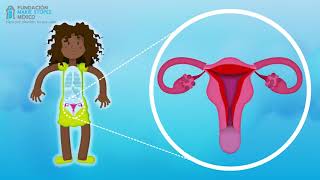 Menstruacion y ciclo menstrual