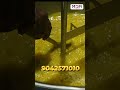 GHEE GHOVA இரட்டிப்பு லாபம் பார்க்க..!#Ghee/khova Making Machine..!#shorts #business
