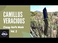 Camillus Veracious Review (Cheap Knife Week Vol.2)