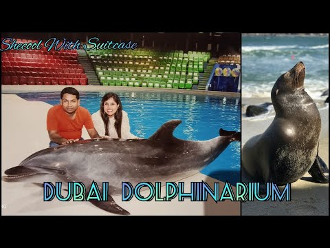 DUBAI 2021 | DUBAI DOLPHINARIUM | DOLPHIN AND SEAL SHOW
