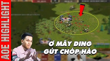 AoE Highlight | Khi Chim Sẻ đứng trên bờ vực thẳm thì Mạnh Hào đã đưa tay ra