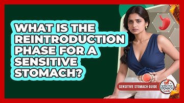 What Is The Reintroduction Phase For A Sensitive Stomach? - Sensitive Stomach Guide