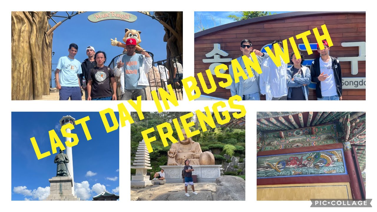 Cable car busan tower and haedong temple (last day in busan)