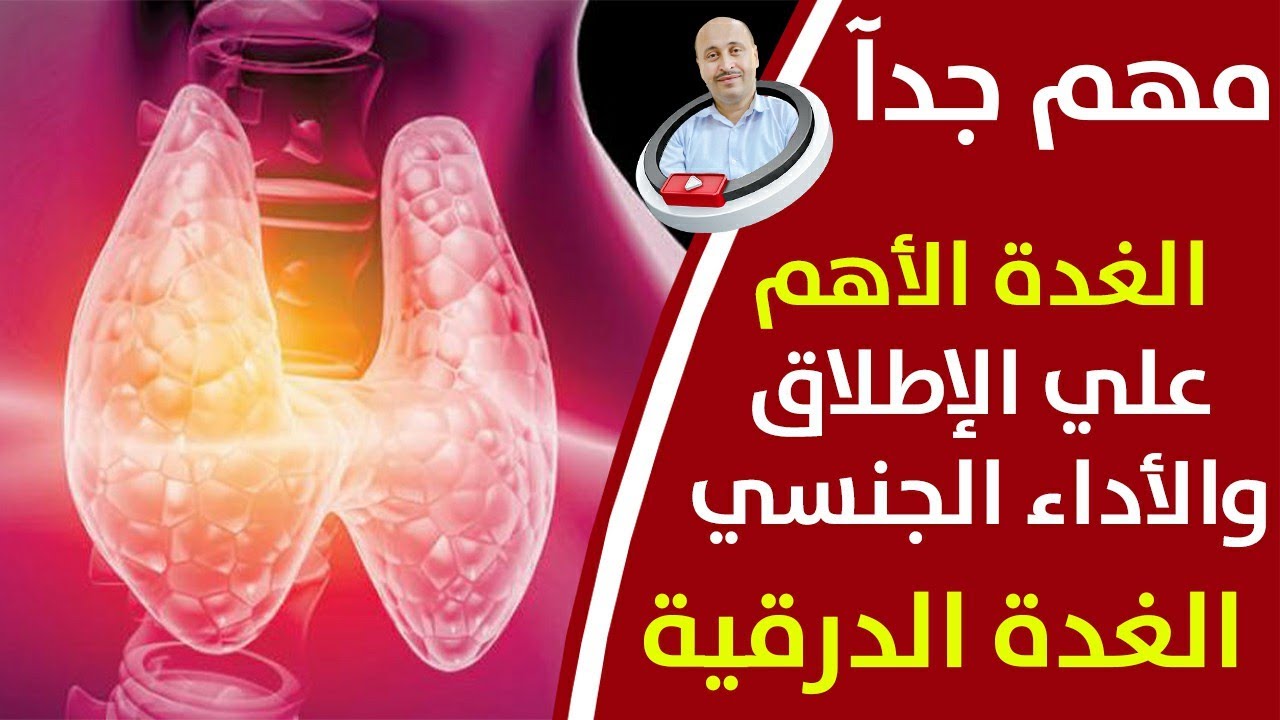 الغدة المسؤوله عن الانتـ ـصاب ولانجاب عند الرجل_خمول لغدة الدرقية والأداء الجنـ ـسي_ كيف تحافظ عليها