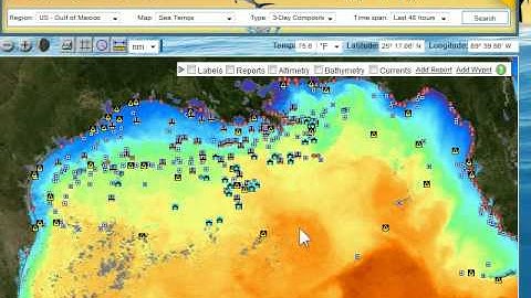 RipCharts - Gulf of Mexico - Loop Current Discussion