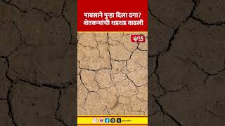 Farmer News | पावसाने पुन्हा दिला दगा? शेतकऱ्यांची धडधड वाढली