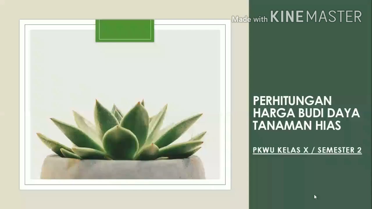 PKWU X | Perhitungan Biaya Produksi Budidaya Tanaman Hias 