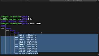 Linux Basic Command (File & Folder) Exercise