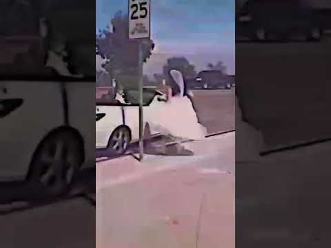 ياعزبا ضلك عزباء حالات واتس اب تيك توك شو غرور ومضحك