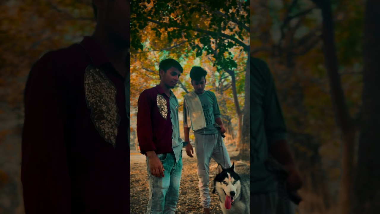 Action trending shorts videos #trending #shorts