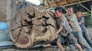 USA’s Final 100 Seconds Before Disaster Struck at the Trembesi Sawmill