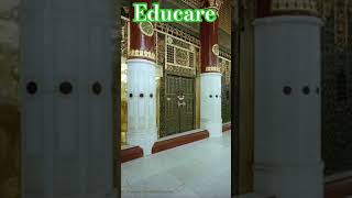 #rabiulawal #2025status #2025shorts #naatstatus #rabiulawal2025 #viralnaat2025 #educationwithcare