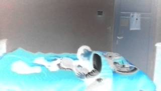 Arda ile Elektro Dans ...