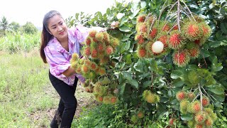 Rambutan fruit season is coming in my village / Rambutan fruit recipe / Cooking with Sreypov