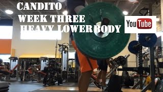 Famous Candito Linear Program Heavy Lower Body Video Profile