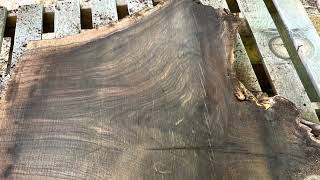 You will not believe what this Black Walnut stump looks like inside