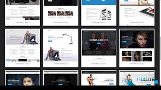 Celebrity PageLine - Bootstrap Based Multi-Purpose WordPress Theme        Aram Net Worth
