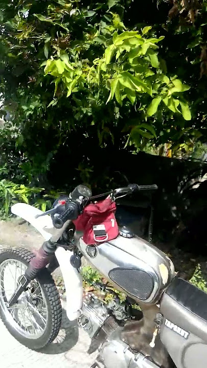 team trabass, honda s90 trail vintage